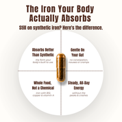 Grass-Fed Beef Spleen Capsules (90 Caps) - Heme Iron 15mg Per Serve
